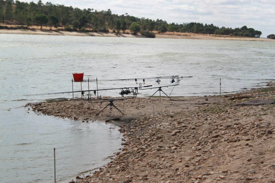 CM Portugalia - 2013 (4) - 1375706567775999958151664555582n.jpg